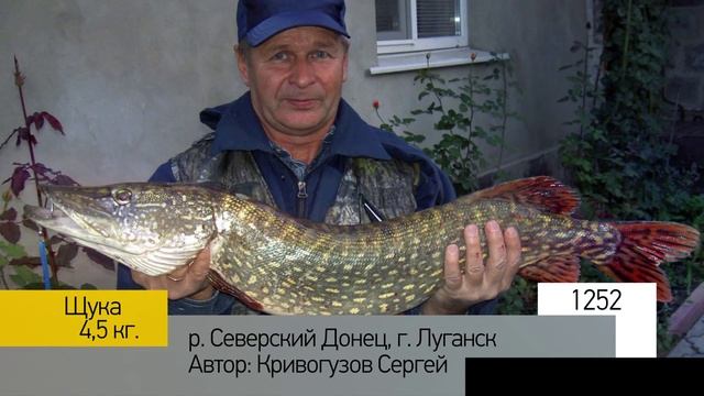 Фотоальбом - Рыбалка №250 смотреть онлайн