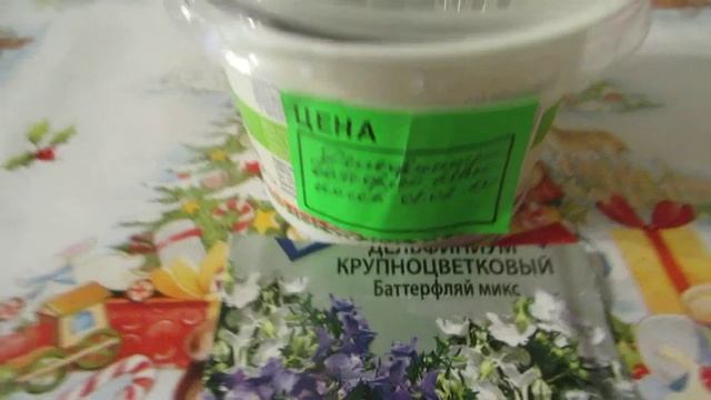 Всходы Дельфиниума и Земляники со стратификацией и без. смотреть онлайн