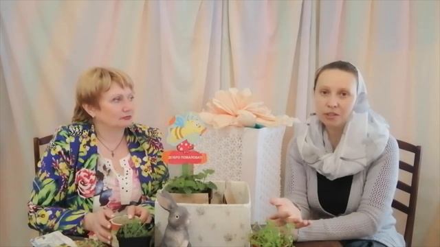 Что такое аптекарский огород и как его создать на приходе?