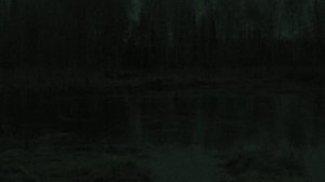 Шикарная работа подсадных чубарых уток на весенней охоте, которая закончилась прекрасным трофеем.