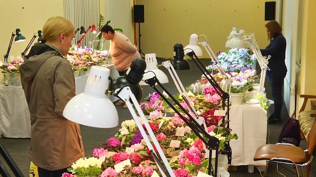 У Миколаєві напередодні 8-го березня відкрилась виставка фіалок смотреть онлайн