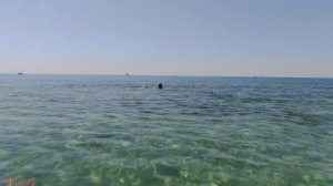 Прогулка от Дивноморского до Геленджика по берегу.