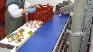 убой 1000 индеек в час