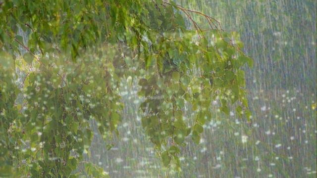 "Середина лета" смотреть онлайн