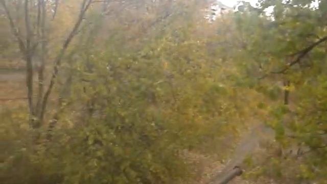 Осень пришла.