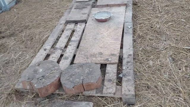 готовим грядки зимой в теплице @My_Krestyanochka смотреть онлайн