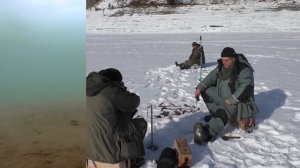 Окунь в глухозимье.  Часть 2