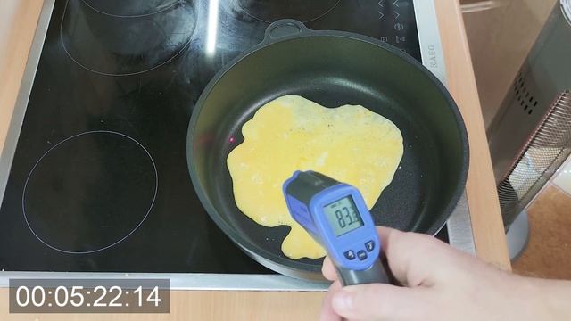 AMT Gastroguss World's Best Pan (non-stick test without fat)