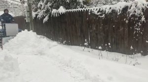 Самодельный трактор