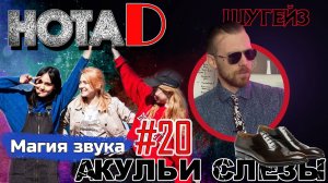 Нота D - акульи слёзы | Шугейз | Магия звука (выпуск #20)