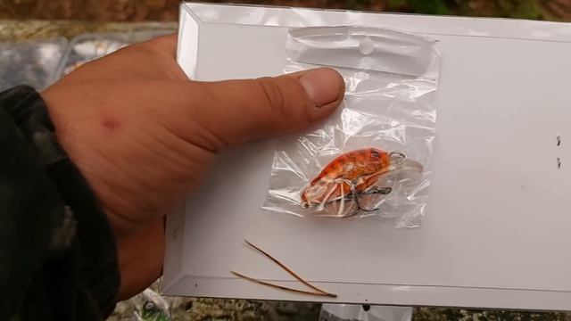 ЧТО НЕ НУЖНО ДЕЛАТЬ В ЛЕСУ?! ЖИВУ В ЛЕСНОЙ ИЗБЕ. РЫБАЛКА. ЕДА НА КОСТРЕ. ЧАСТЬ 1 смотреть онлайн