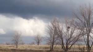 Разлив реки Самара на сорочинском водохранилище...