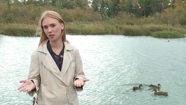 Народные приметы: выясняем, какая будет осень смотреть онлайн