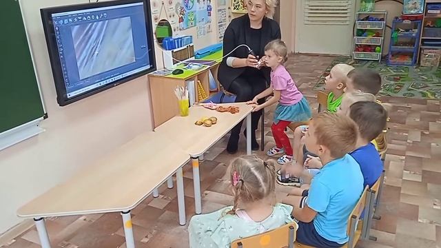 Открытое занятие "Наш микромир" старшая группа с ТНР смотреть онлайн