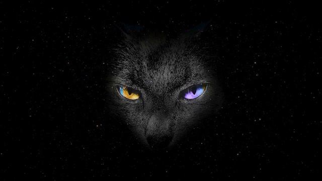 Egyptian Flute Music For Cats| Ancient Egypt Cat Worship Music