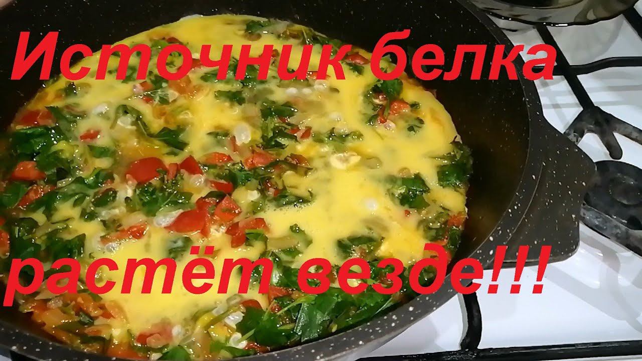 БУКВАЛЬНО ПОД НОГАМИ ВЕЗДЕ РАСТЁТ КАЧЕСТВЕННАЯ ЕДА БОГАТАЯ БЕЛКОМ, КЛАДЕЗЬ ПРОТЕИНОВ! БЕСПЛАТНО !