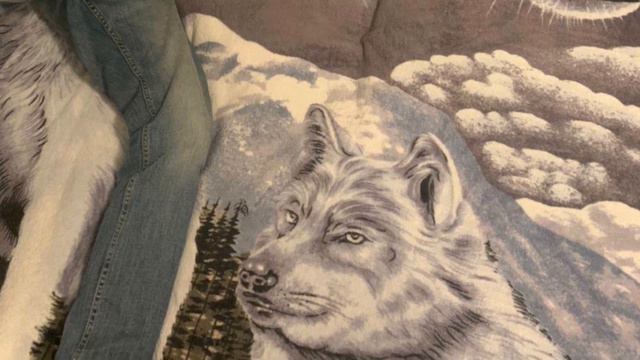 Vždycky můžeš bejt peeervni / Безумно можно быть первым 🐺👆 смотреть онлайн