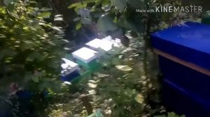 Шестирамочники в работе. Постановка вторых и третьих корпусов. „