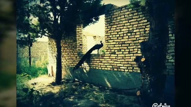 Балканабад BALKANABAT  #14 