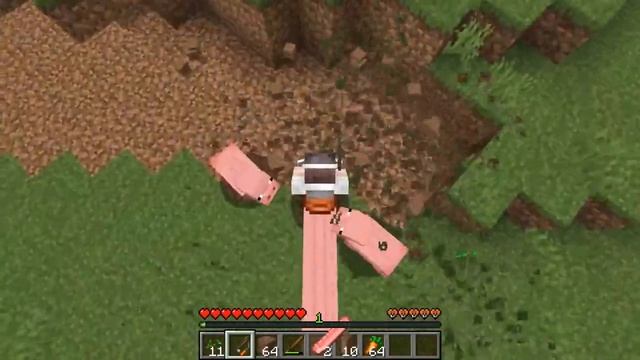 ЭТО САМАЯ ДЛИННАЯ СВИНЬЯ В МАЙНКРАФТ смотреть онлайн