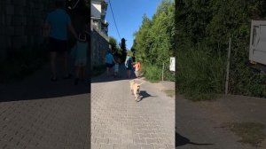 Дорога до пляжа. Турция.Отель Defne Defnem 5*