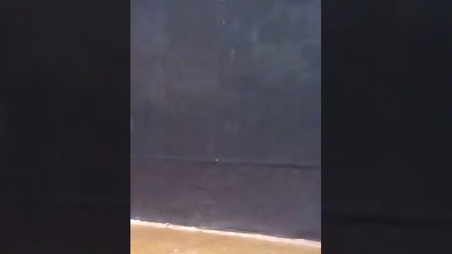 Самоубийца