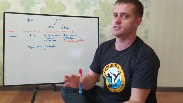 Направление тренировочной подготовки в детских группах по капоэйре. Цели и методы смотреть онлайн