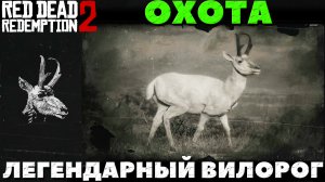 Red Dead Redemption 2 - Охота. Легендарный Вилорог.