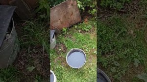 Подкормка томатов кальцием по листу