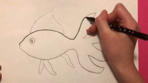 КАК НАРИСОВАТЬ РЫБКУ ЗОЛОТУЮ  карандашом / How ty draw FISH | Простые домашние рисунки  / Эмилия