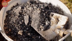 Всего 7 приемов, чтобы комнатные цветы росли как на дрожжах!