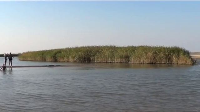 "Туда-Обратно" (видео-прогулка) / город Ейск / Азовское море / 2015 год.