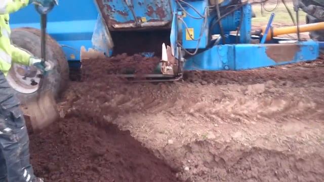 Посадка голубики смотреть онлайн