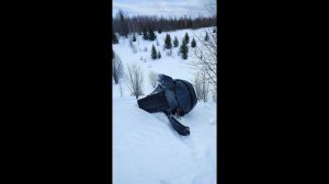 2024 сезон на снегоходе