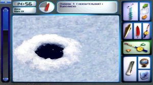 Pro Pilkki 2. Турнирный уровень 3. Задание 2. Koivusaaren matalikko