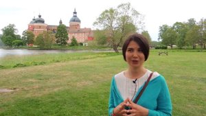 Бытовые особенности в Швеции