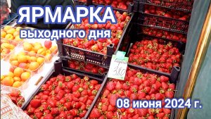 Краснодар - Ярмарка выходного дня на ул. Одесской - цены на продукты - 08 июня 2024 г.