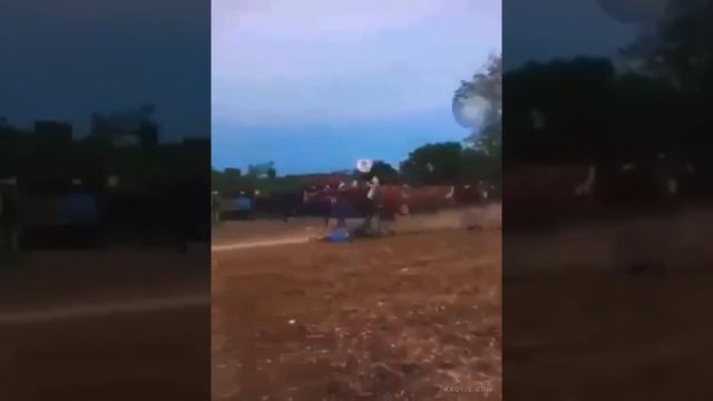 Зачем надо было подходить к лошади??? Why was it necessary to approach the horse??? смотреть онлайн