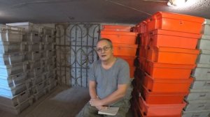 Разведение Дендробены . Советы для начинающих и не только... .