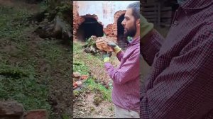 Церковь Троицы Живоначальной. Восстановим всем миром.