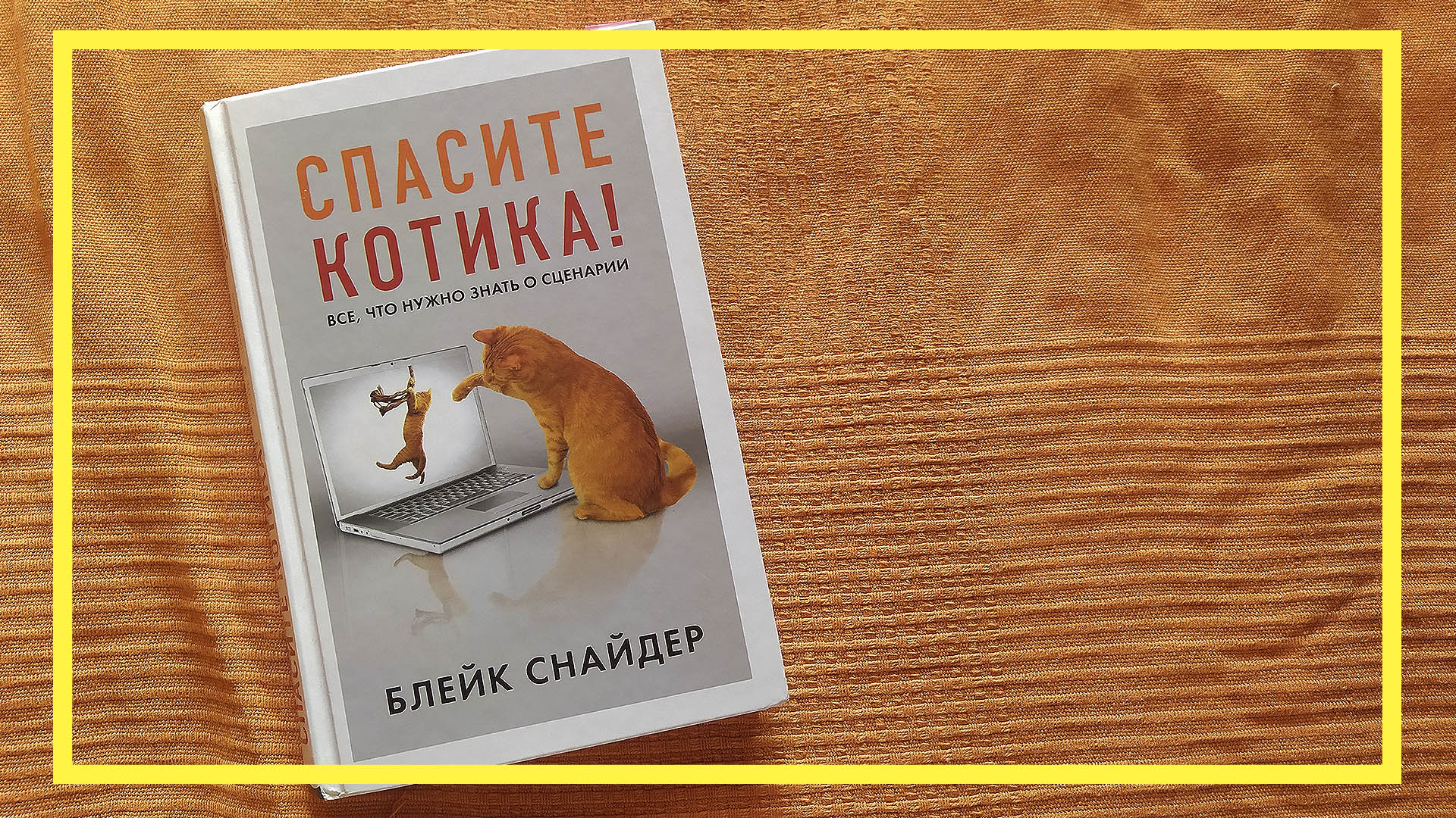 Спасите котика блейк снайдер