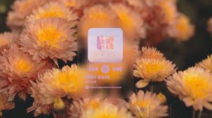 【aesthetic and cute part III ♥】NAOMI - Gummy Bear ♥ Full Album ♥ #lofi
