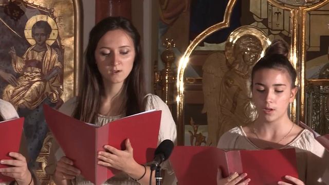 Тропар Светом Апостолу Луки смотреть онлайн