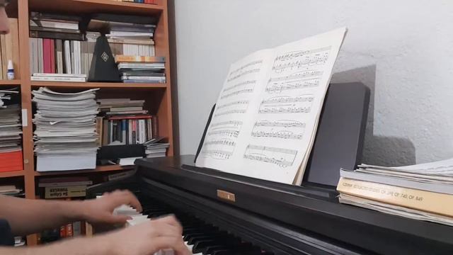 Süpürgesi Yoncadan