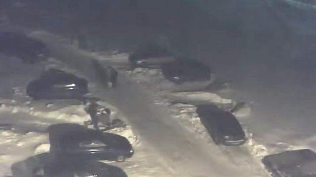 Я ДУМАЛ ЧТО ЭТО ДЕЛАЮТ САБАЧКИ И КОШКИ А ВОН ОНО КАК