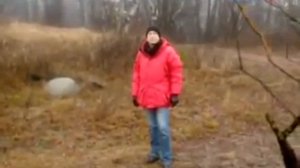 Искатели. Загадка Медного всадника : Документальный фи