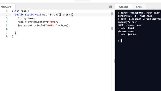 Java Programming Skills Using Replit: System.getenv()