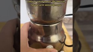 Как правильно принимать семя льна