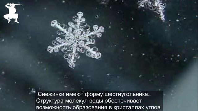 ПОЧЕМУ *Снег скрипит под ногами* смотреть онлайн