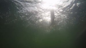 День рыбалки Инвестора. Платная рыбалка на форель